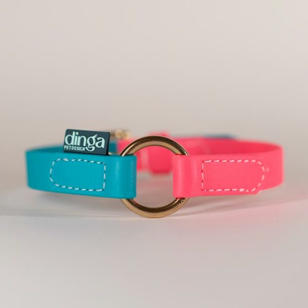 PRONTA CONSEGNA - Collare Bicolor Pink + Teal