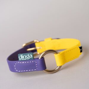 PRONTA CONSEGNA - Collare Bicolor Violet+Yellow