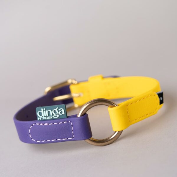 PRONTA CONSEGNA - Collare Bicolor Violet+Yellow