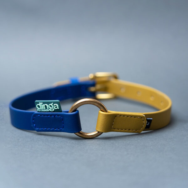 PRONTA CONSEGNA - Collare Bicolor Gold + Dark Blue