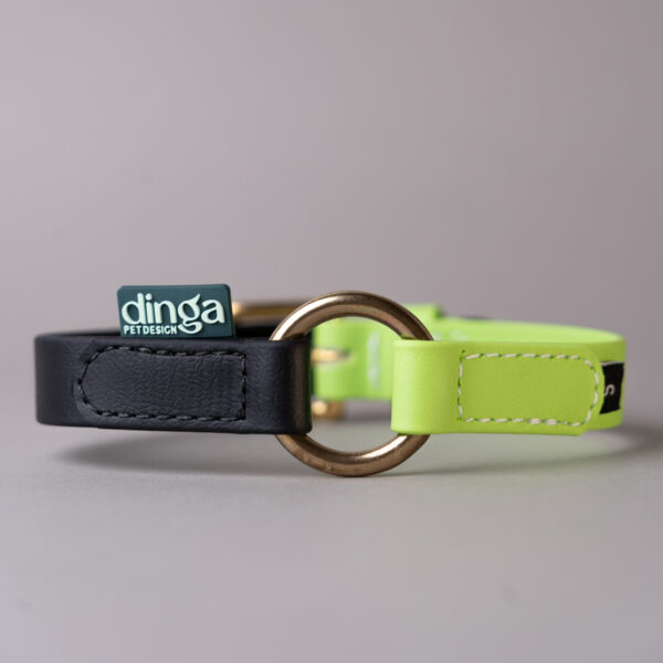 PRONTA CONSEGNA - Collare Bicolor Black+Light Green
