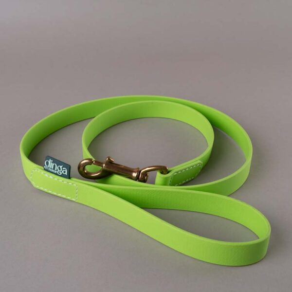 PRONTA CONSEGNA - Guinzaglio Semplice Light Green