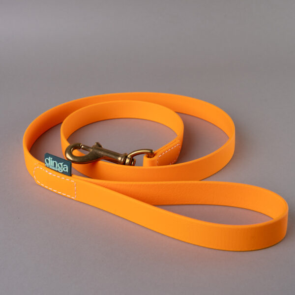 PRONTA CONSEGNA - Guinzaglio Semplice Light Orange