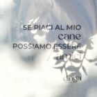 Tote Bag - Se piaci al mio cane - immagine 3